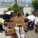 자라경로당 이미지