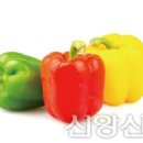 파프리카