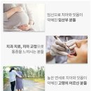 이노셀러 가성비 좋은 잇몸 저자극 만모 칫솔