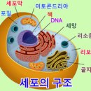 [거의 모든 것의 역사] 26-30장 이미지