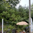 독채펜션송현 | 너무나 마음에 쏙 들어버린 양양 독채펜션 스테이송현 8월 여름후기