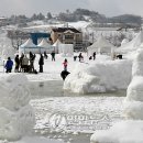 대관령눈꽃축제장 겨울비.영상기온에 '엉망'.. ㅠㅠ 이미지