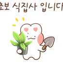 파블리 이미지