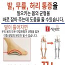 알즈너마음