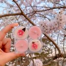 귄캔들