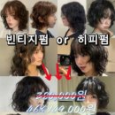 헤어더블리 바이무드 주안점