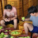 중호농장 이미지