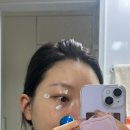 시그니크 | [체험단] 눈가 고민 끝! 그 날 그 날 내 눈 맞춤형 ‘시그닉(signiq) 아이크림 3종’ 솔직 후기✨