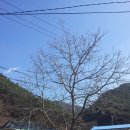 덕산리새마을