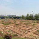 김은희농장 이미지