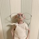 시네마안경원 이미지