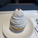 출판단지 카페 피스피스, 식물정거장 방문 후기
