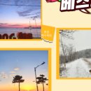 뛰어놀개 애견펜션 이미지