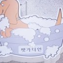 펫 가디언 이미지