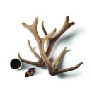 장수녹용 이미지