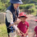 리나어린이집 이미지