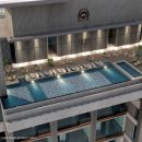 더갤러리 이미지