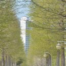 철길숲(학산동) 이미지