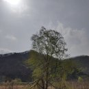 달무리 이미지