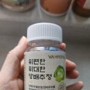 진&정 | 속 쓰림에 도움받은 양배추정 후기 _ 위가 편해진 요즘_내돈내산