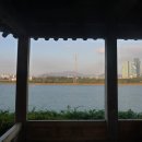 쪼물왕국 이미지