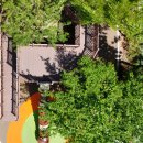 일산초등학교 이미지