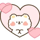 요술손