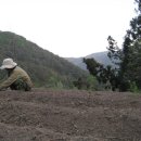 구적골농원 이미지