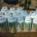 민들레 농장 이미지