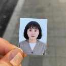 임학포토