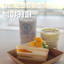 강릉 베이커리 카페 백야커피에서 오션뷰 만끽하기