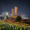 2023 레트로&뉴트로 콘서트 | 마산가고파국화축제에서 즐긴 가을 꽃구경, 향기로 물든 창원여행