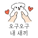 애견미용실 또이쁜댕 이미지