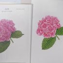 보테니컬 이미지