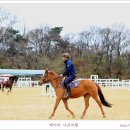 경마공원 이미지