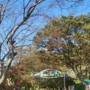 입곡군립공원(주차장옆) | 단풍이 없어도 이렇게 예쁠 수 있다고? 함안 입곡군립공원 가을 나들이 후기
