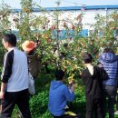 최신농장 이미지