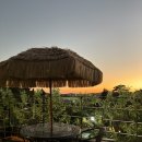 가든빛스테이 | 제주도 서귀포 숙소 추천 가든빛스테이 에어비앤비 펜션 추천