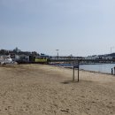 갯마을을 그리워하는 이미지