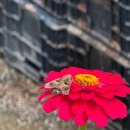 꽃이야기와 치유 | (치유농장) 우리 가족 마음에도 꽃이 피었어요