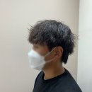 올드스캣 이미지