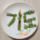 루푸스[systemic lupus erythematosus]서울대병원, 고려대병원 의료정보, 박문호박사님의 강의를 들으며 난치성질환연구 이미지