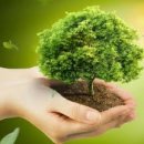 만년한의원 이미지