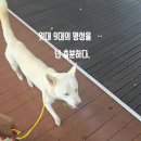 건이