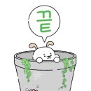 식집사마켓 이미지