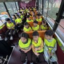 어린이교통랜드 이미지