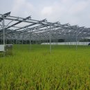 햇빛농장 이미지