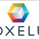 복셀러스 이미지