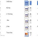 .flac 확장자 변환 가능하신분 계세요? 이미지