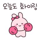 올라운더몰